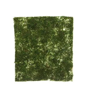 Moss Mat 45X40Cm by Florabelle Living, a Plants for sale on Style Sourcebook