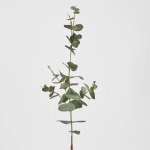 Eucalyptus Spray 74Cm Dark Green by Florabelle Living, a Plants for sale on Style Sourcebook