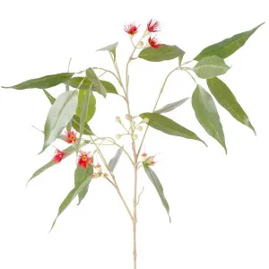 Eucalyptus Flower Spray 92Cm Red & Green by Florabelle Living, a Plants for sale on Style Sourcebook