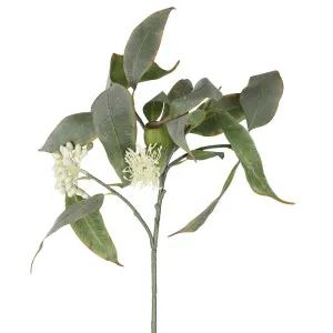 Eucalyptus Flower Spray 70Cm by Florabelle Living, a Plants for sale on Style Sourcebook