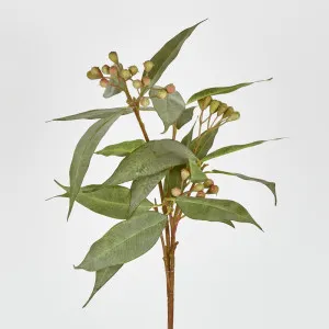 Eucalyptus Seed Stem 89Cm by Florabelle Living, a Plants for sale on Style Sourcebook