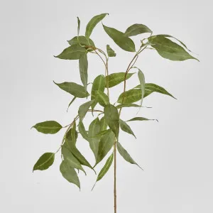 Eucalyptus Spray 117Cm by Florabelle Living, a Plants for sale on Style Sourcebook