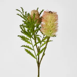 Banksia Spray With Bud And Leaf 80Cm Pink by Florabelle Living, a Plants for sale on Style Sourcebook
