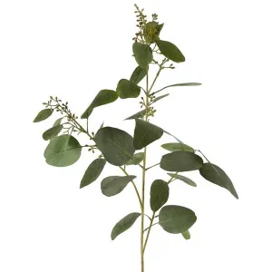 Eucalyptus Seed Spray With 20 Leaves Grey & Green by Florabelle Living, a Plants for sale on Style Sourcebook
