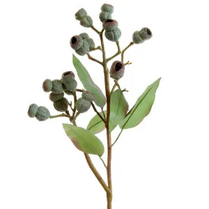 Eucalyptus Gumnut Spray 64Cm Dark Green by Florabelle Living, a Plants for sale on Style Sourcebook