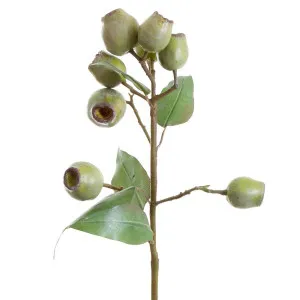 Eucalyptus Gumnut Spray 67Cm Green by Florabelle Living, a Plants for sale on Style Sourcebook