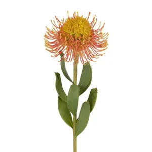 Pincushion Flower Stem 58Cm Orange by Florabelle Living, a Plants for sale on Style Sourcebook