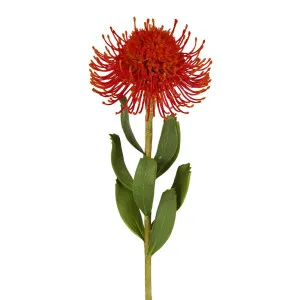 Pincushion Flower Stem 58Cm Red by Florabelle Living, a Plants for sale on Style Sourcebook