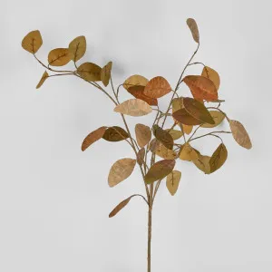 Autumn Eucalyptus Spray 87Cm by Florabelle Living, a Plants for sale on Style Sourcebook