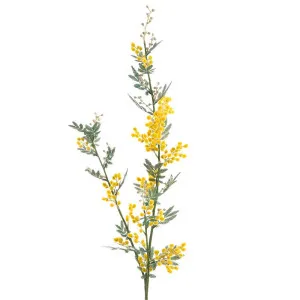 Mimosa Spray Long 1.1M Yellow by Florabelle Living, a Plants for sale on Style Sourcebook