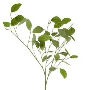 Eucalyptus Spray With 42 Leaves Green by Florabelle Living, a Plants for sale on Style Sourcebook