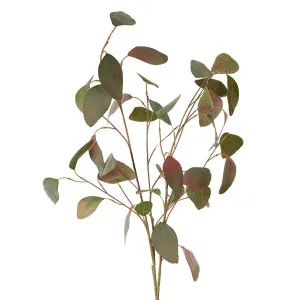 Eucalyptus Spray With 42 Leaves Green & Pink by Florabelle Living, a Plants for sale on Style Sourcebook