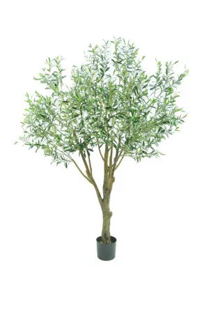 Giant Olive Tree With 3366 Leaves Green 135Cm by Florabelle Living, a Plants for sale on Style Sourcebook