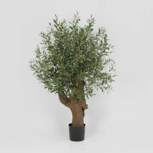 Giant Olive Tree With 3468 Leaves & 42 Fruits Green 110Cm by Florabelle Living, a Plants for sale on Style Sourcebook
