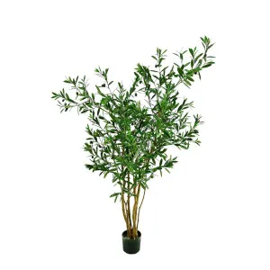 Olive Tree 120Cm by Florabelle Living, a Plants for sale on Style Sourcebook