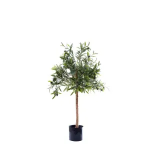 Olive Green Topping Tree 70Cm by Florabelle Living, a Plants for sale on Style Sourcebook