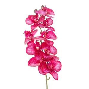 Orchid Stem 85Cm Red by Florabelle Living, a Plants for sale on Style Sourcebook