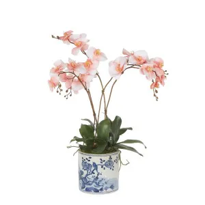 Cheng Orchid Arrangement Coral by Florabelle Living, a Plants for sale on Style Sourcebook