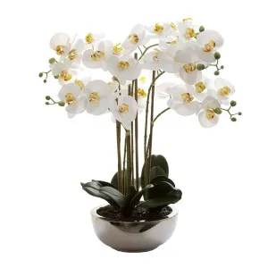 Phalaenopsis Real Touch In Silver Pot 50Cm White by Florabelle Living, a Plants for sale on Style Sourcebook