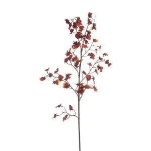 Dancing Orchid 93Cm Burgundy by Florabelle Living, a Plants for sale on Style Sourcebook