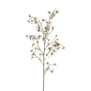 Dancing Orchid 93Cm White by Florabelle Living, a Plants for sale on Style Sourcebook