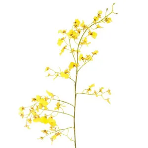 Dancing Orchid 93Cm Yellow by Florabelle Living, a Plants for sale on Style Sourcebook
