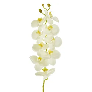 Large Moth Orchid Natural Touch Stem White by Florabelle Living, a Plants for sale on Style Sourcebook