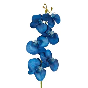 Orchid Single Stem 80Cm Royal Blue by Florabelle Living, a Plants for sale on Style Sourcebook