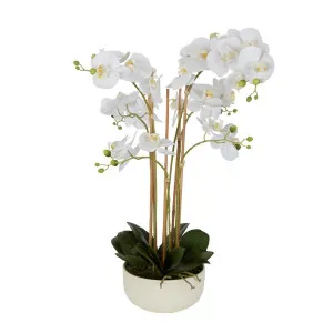 Orchid Potted Real Touch 71Cm White by Florabelle Living, a Plants for sale on Style Sourcebook