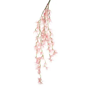 Orchid Spider Hanging 1.1M Pink by Florabelle Living, a Plants for sale on Style Sourcebook