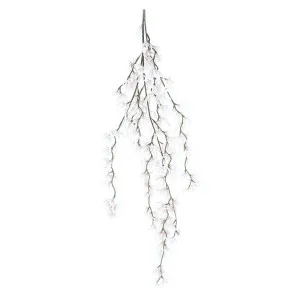 Orchid Spider Hanging 1.1M White by Florabelle Living, a Plants for sale on Style Sourcebook