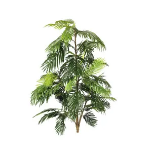 Areca Full Palm 1.8M by Florabelle Living, a Plants for sale on Style Sourcebook