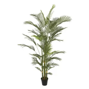 Real Touch Palm Tree In Black Pot 210Cm by Florabelle Living, a Plants for sale on Style Sourcebook