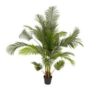 Areca Palm Tree Real Touch 170Cm by Florabelle Living, a Plants for sale on Style Sourcebook