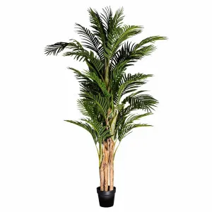 Palm Tree Real Touch 190Cm by Florabelle Living, a Plants for sale on Style Sourcebook