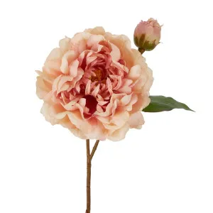 Peony Stem 61Cm Apricot by Florabelle Living, a Plants for sale on Style Sourcebook