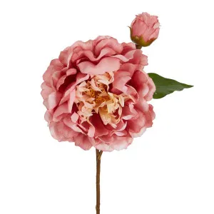 Peony Stem 61Cm Pink by Florabelle Living, a Plants for sale on Style Sourcebook