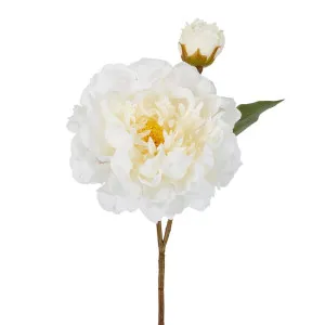 Peony Stem 61Cm White by Florabelle Living, a Plants for sale on Style Sourcebook