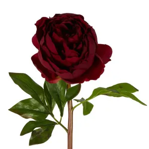 Peony Flower Real Touch Stem Dark Plum Large by Florabelle Living, a Plants for sale on Style Sourcebook