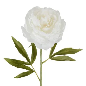 Peony Single Stem 62Cm White by Florabelle Living, a Plants for sale on Style Sourcebook