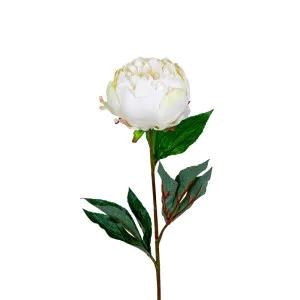 Peony Half Open 70Cm White by Florabelle Living, a Plants for sale on Style Sourcebook