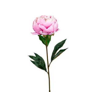Peony Half Open 70Cm Pink by Florabelle Living, a Plants for sale on Style Sourcebook