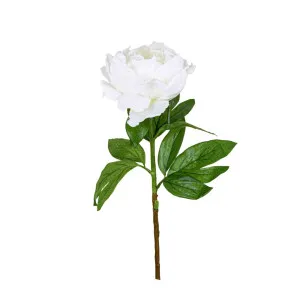 Peony Queen 70Cm White by Florabelle Living, a Plants for sale on Style Sourcebook