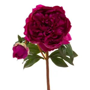 Peony Open Short Stem 55Cm Fuchsia by Florabelle Living, a Plants for sale on Style Sourcebook