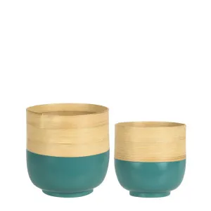 Blana Bamboo Planters Sage Set Of 2 by Florabelle Living, a Plant Holders for sale on Style Sourcebook