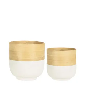 Blana Bamboo Planters White Set Of 2 by Florabelle Living, a Plant Holders for sale on Style Sourcebook