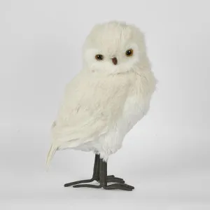 Pott'S Owl Lge by Florabelle Living, a Christmas for sale on Style Sourcebook