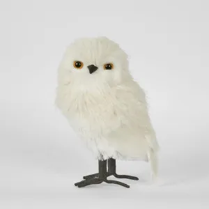 Pott'S Owl Sml by Florabelle Living, a Christmas for sale on Style Sourcebook