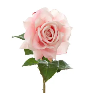 Rose True Touch 50Cm Pink by Florabelle Living, a Plants for sale on Style Sourcebook