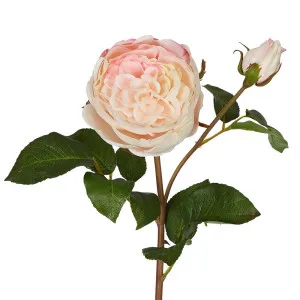 Cabbage Real Touch Rose Stem 50Cm Soft Pink by Florabelle Living, a Plants for sale on Style Sourcebook